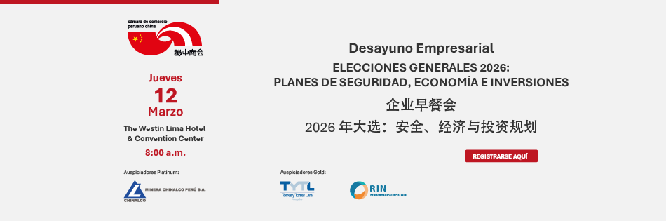 Elecciones generales 2026